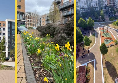 Several images showing the gardening achievements at Factory Quarter