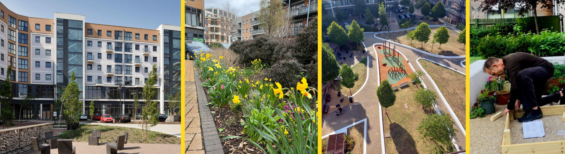 Several images showing the gardening achievements at Factory Quarter
