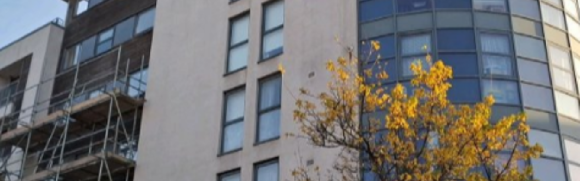 Image Of Miller House