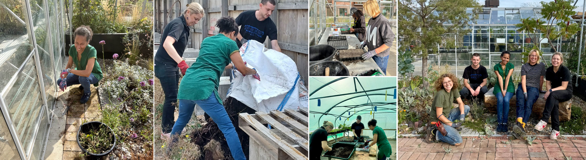 Gardening volunteering day