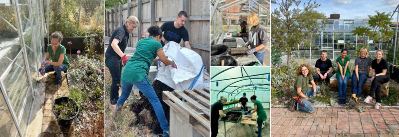Making a difference at Colindale Community Garden
