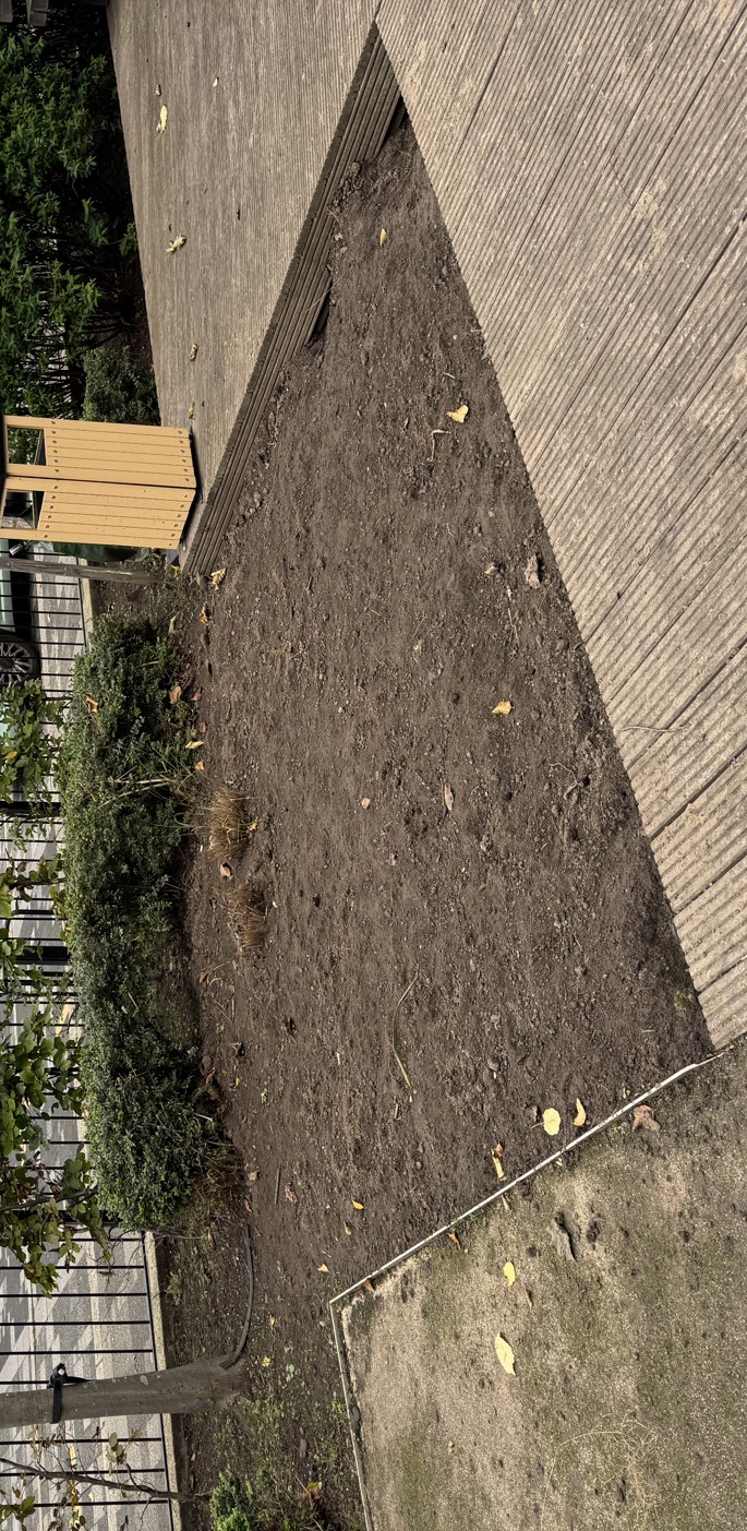 Before (1)