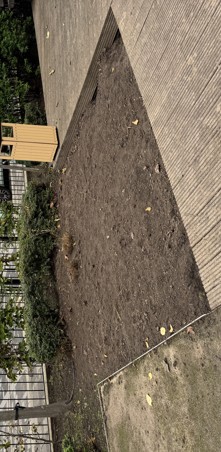 Before (1)