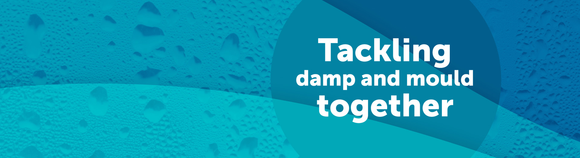 Damp And mould web banner