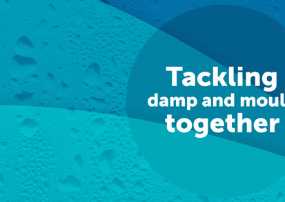 Damp And Mould Web Banner