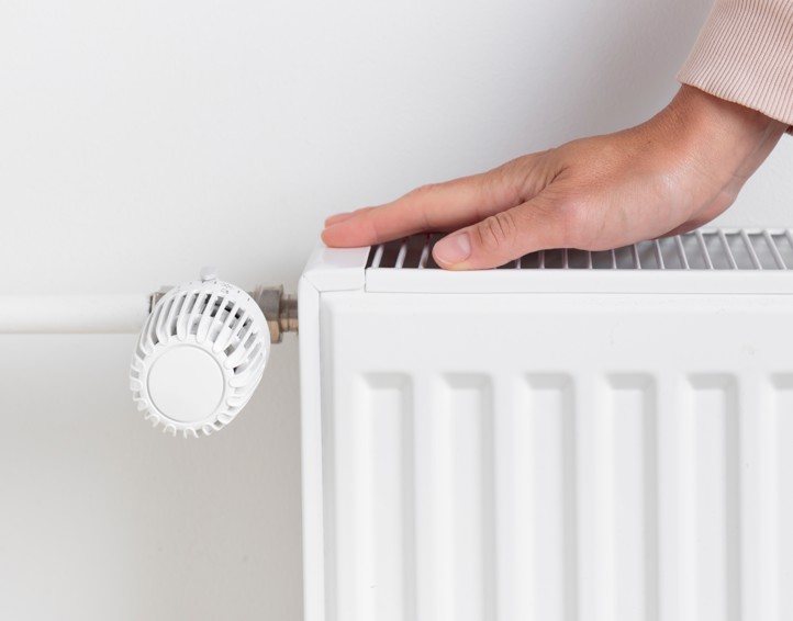 Shutterstock 2518184135