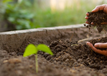 Gardening Nhg