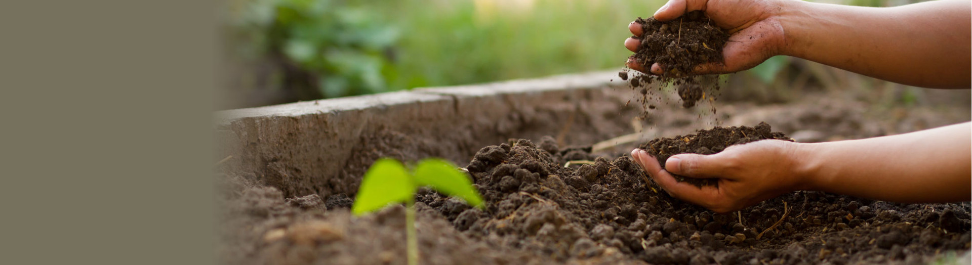 Gardening Nhg