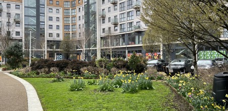 The gardening achievements at Factory Quarter