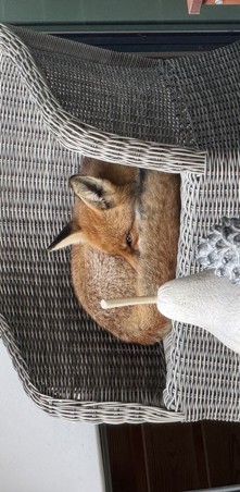 Image00073