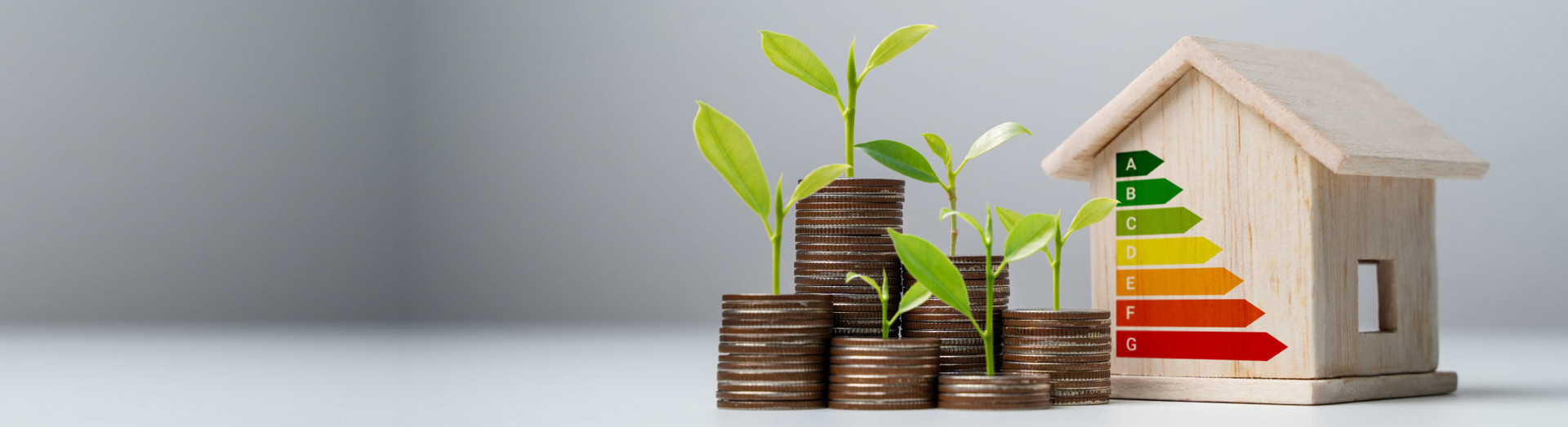 Warmer Homes EPC Nhg