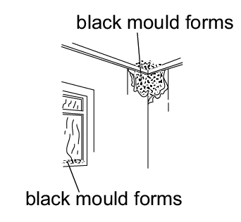 Black mould forms diagram