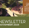 Curry & Bray Nov 25 newsletter masthead