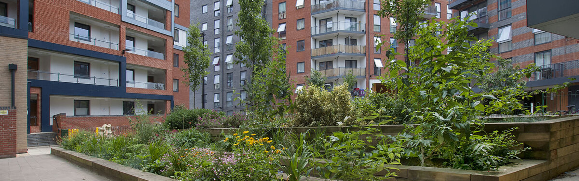 Stoke Quay Garden