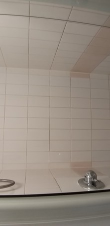 Shower view